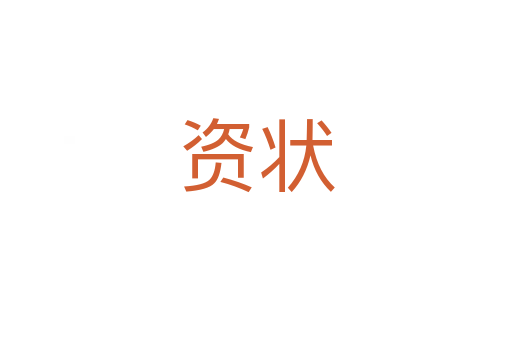 资状